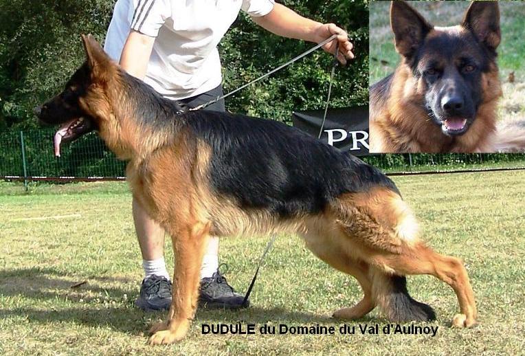 Dudule du domaine du val d''aulnoy