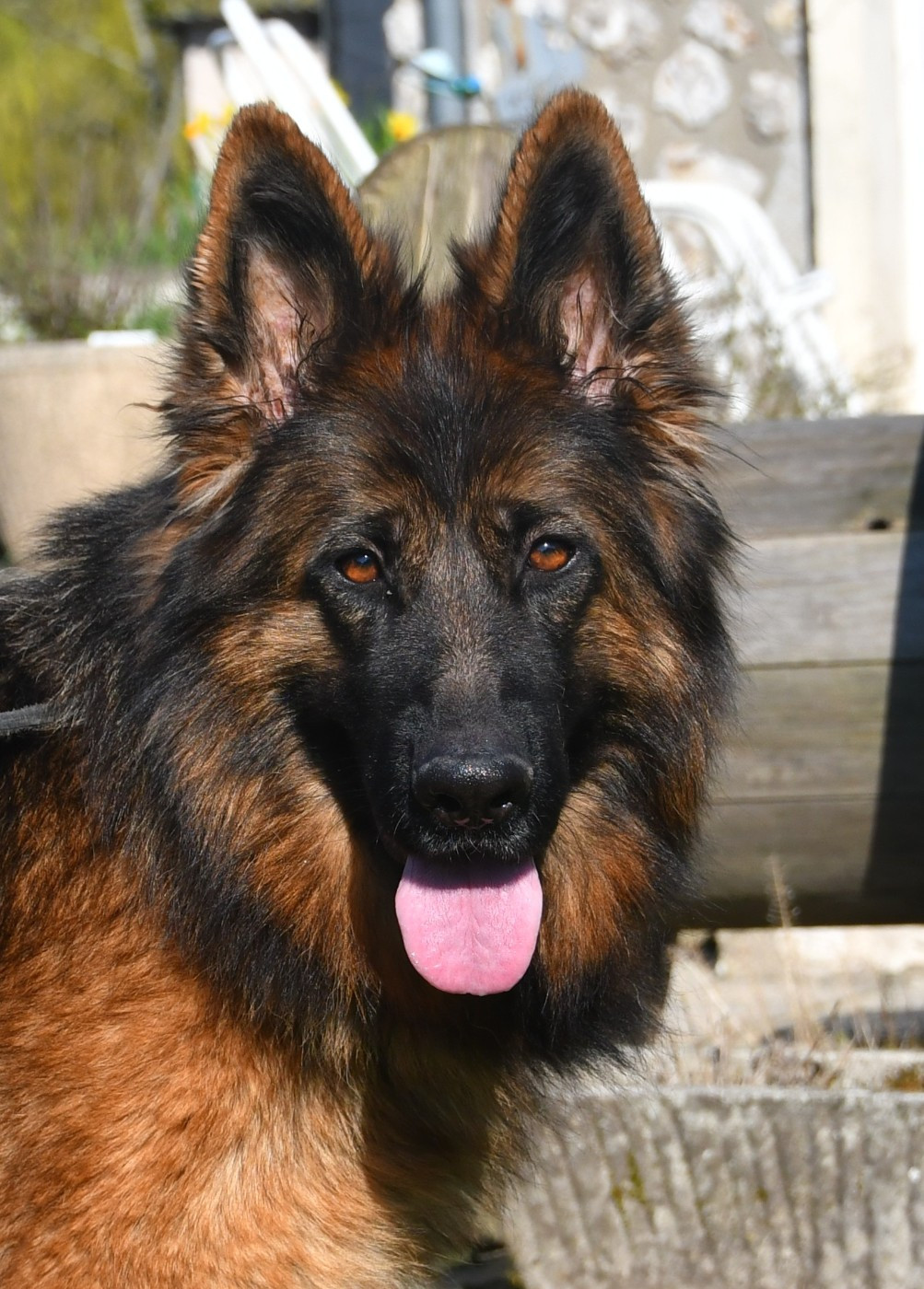 uguette  Du Domaine De L'estuaire